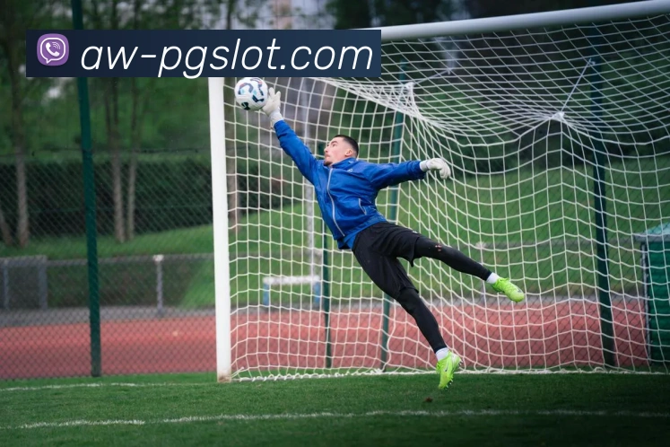 PG麻将胡了官网平台生态图